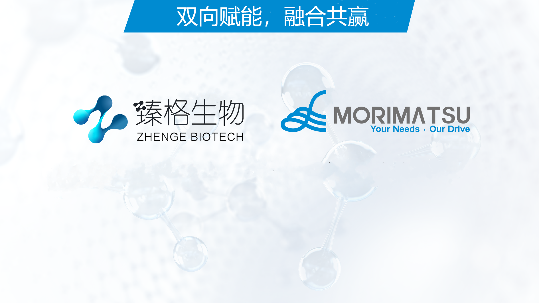Integrating Power for Win-win Benefits, Morimatsu LifeSciences Joins with Zencore Biologics to Accelerate and Empower the Transformation and Innovation in the Biopharmaceutical Industry